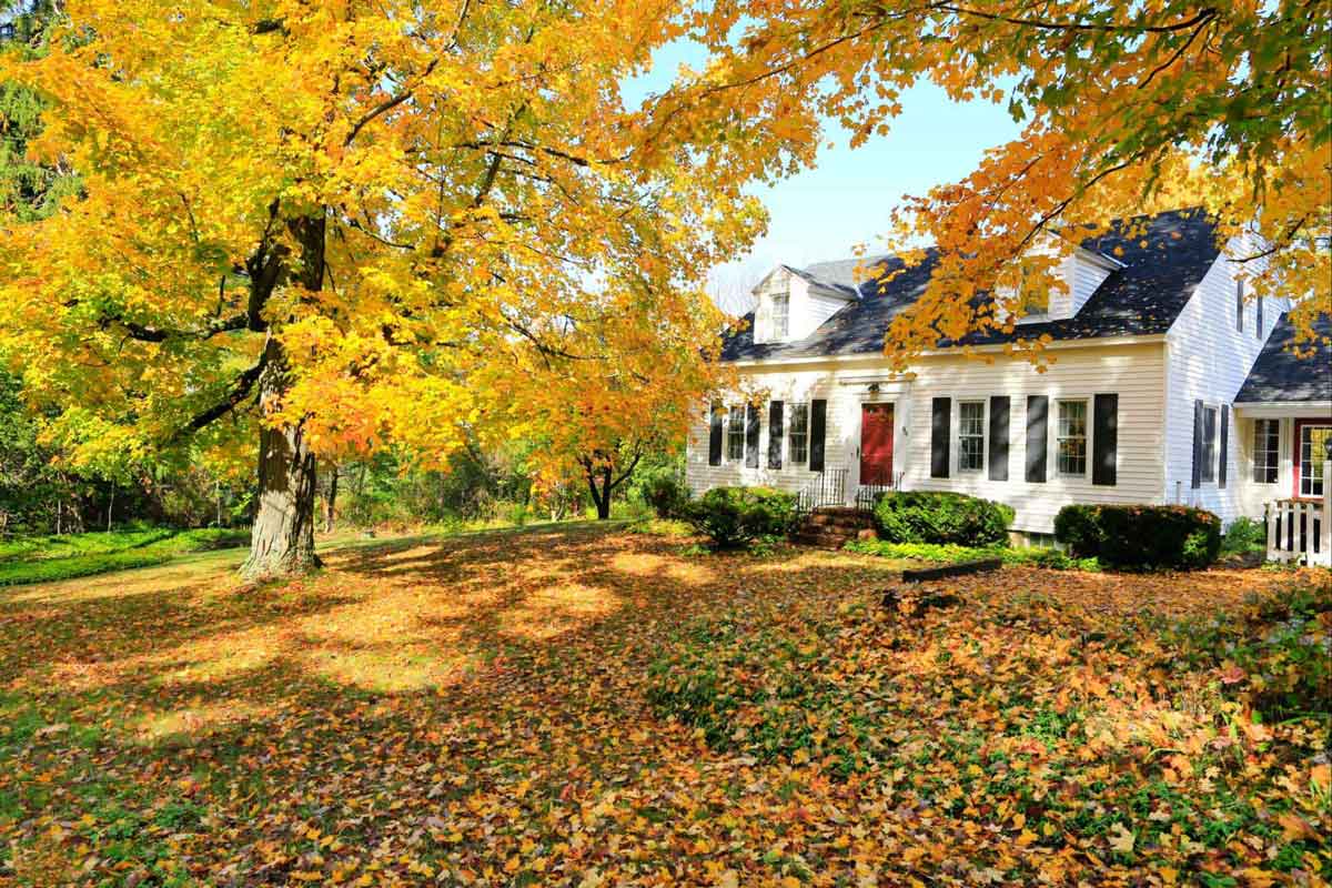 Read more about the article Five Ways to Prepare Your Home Exterior for Fall