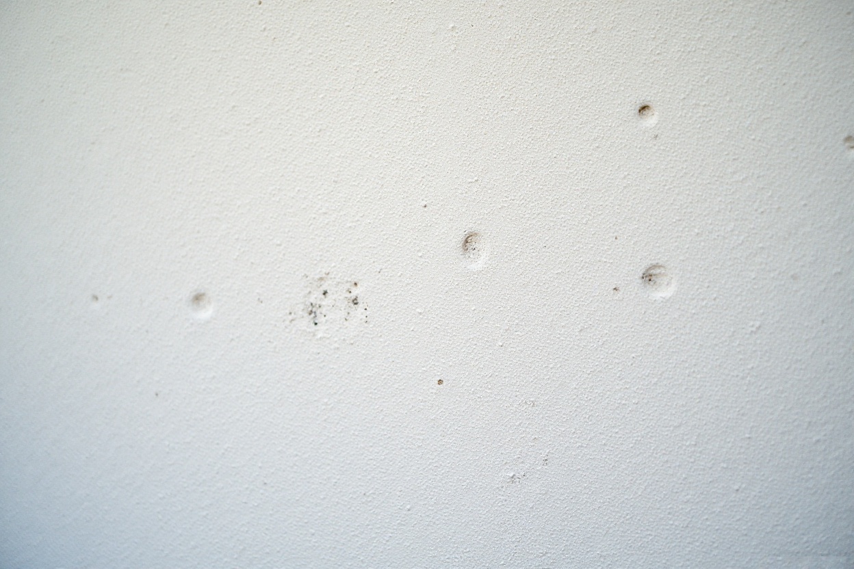 Read more about the article How to Spot Signs of Hail Damage on Stucco